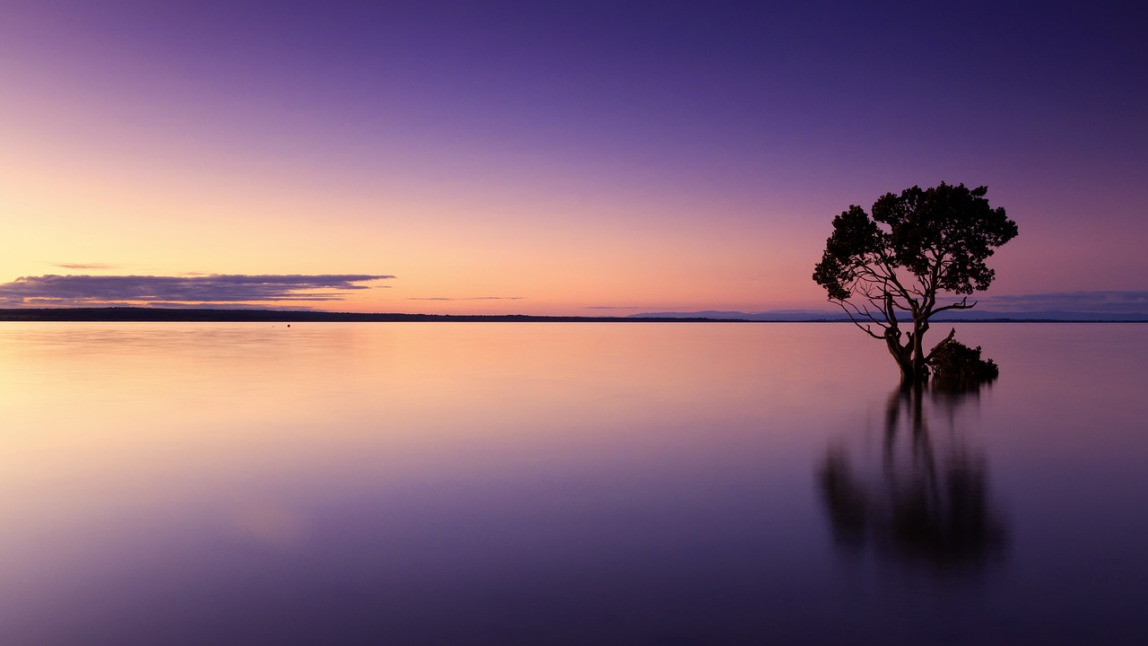 Observez le calme à l'horizon