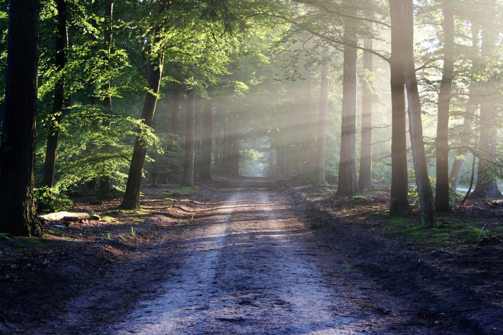 au bout du chemin